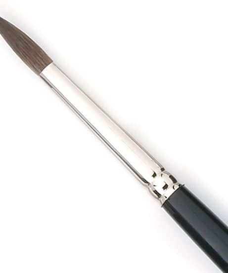 Pensule par veverita  Tintoretto 100