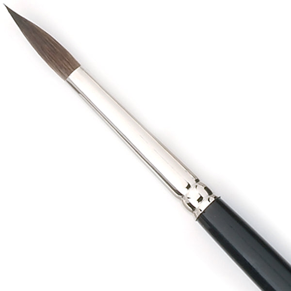 Pensule par veverita  Tintoretto 100