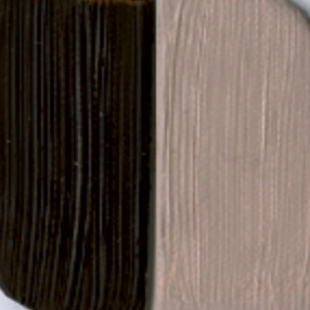 38ML, FL117038247 Raw Umber -  din categoria , perfect pentru birou si organizare eficienta, pret avantajos in magazin online