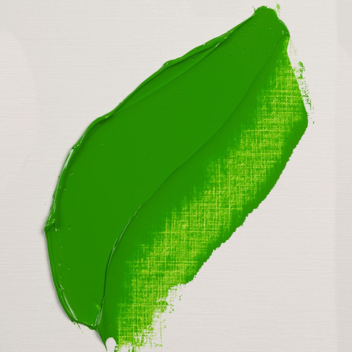 Culori ulei Rembrandt Permanent Green Medium 40ml -  din categoria , ideal pentru scoala si teme zilnice, pret avantajos in magazin online