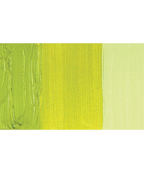 Culori ulei solubile in apa Cobra Study 40 ml - Permanent Green Light -  din categoria , util pentru elevi, studenti si profesori, alegere inspirata pentru papetarie moderna